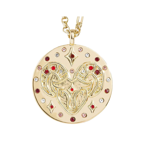 Celestial Zodiac Medallion Necklace - free shipping