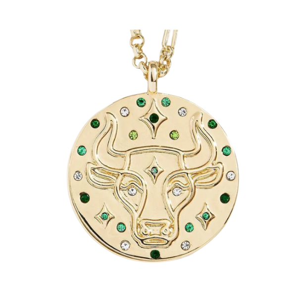 Celestial Zodiac Medallion Necklace - free shipping