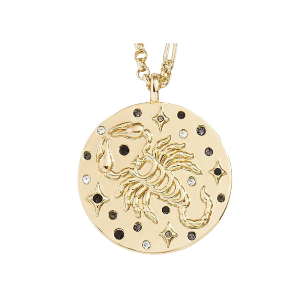 Celestial Zodiac Medallion Necklace - free shipping